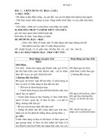 Giáo án mỹ thuật lớp 5 đan mạch