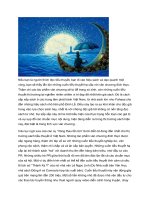 VĂN CHƯƠNG ĐÍCH THỰC và TIỂU THUYẾT hạ cấp