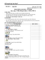 Giáo án mỹ thuật lớp 5 VNEN