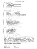 BÀI tập THÌ  tense exercise