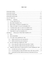 Nghiên cứu sự sắp xếp của các DNA oligomer trên nhiễm sắc thể vi khuẩn và nấm men 