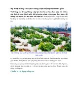 Kỹ thuật trồng rau sạch trong chậu xốp tại nhà đơn giản