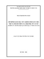 Mô hình giáo dục sức khỏe sinh sản cho trẻ vị thành niên của Hội phụ nữ cơ sở ( Nghiên cứu trường hợp tại xã Hòa Hậu, Lý Nhân, Hà Nam)