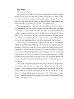 Một số biện pháp chỉ đạo tổ chức dạy học theo mô hình trường học mới (VNEN) tại trường tiểu học