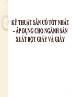 Kỹ Thuật Sẵn Có Tốt Nhất – Áp Dụng Cho Ngành Sản Xuất Bột Giấy Và Giấy