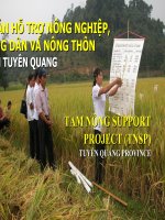 Dự Án Hỗ Trợ Nông Nghiệp, Nông Dân Và Nông Thôn Tỉnh Tuyên Quang