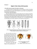 Giáo trình động vật không xương sống quyển 2