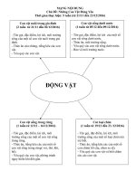 tuan 5 chu de nhung con vat dang yeu 