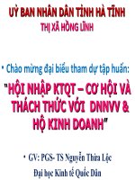 Hội Nhập KTQT – Cơ Hội Và Thách Thức Với  DNNVV & Hộ Kinh Doanh