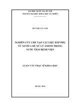 Nghiên cứu chế tạo vật liệu hấp thụ từ xơ dừa để xử lý Amoni trong nước thải bệnh viện