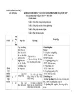 KE HOACH CHU DE CAC CO BAC TRONG TRUONG MAM NON 