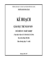 KE HOACH CHAM SOC  GD TRE 5  6 TUOI CHU DE TRUONG MAM NON 