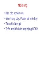 Nghiên Cứu Hệ Thống Trồng Rau Nuôi Cá Tự Động Tại Gia