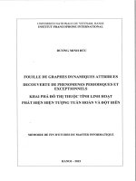 Khai phá đồ thị thuộc tính linh hoạt phát hiện hiện tượng tuần hoàn và đột biến