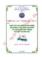 Phân tích các nhân tố ảnh hưởng đến hành vi tiêu dùng sản phẩm túi thân thiện môi trường của siêu thị BigC Huế