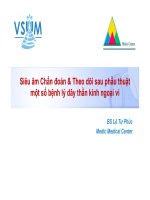 Siêu âm chẩn đoán và theo dõi sau phẫu thuật một số bệnh lý dây thần kinh ngoại biên
