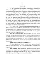 Nghiên cứu quá trình hình thành hỗn hợp và cháy của động cơ dual fuel (biogas diesel)