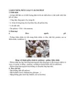 Bai 14 vat lieu polime 