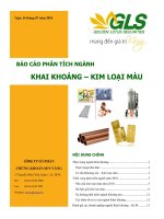 BÁO CÁO PHÂN TÍCH NGÀNH KHAI KHOÁNG – KIM LOẠI MÀU