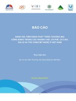 ĐÁNH GIÁ TIỀM NĂNG PHÁT TRIỂN THƯƠNG MẠI CÔNG BẰNG TRONG CÁC NGÀNH CHÈ, CÀ PHÊ, CA CAO, GIA VỊ VÀ THỦ CÔNG MỸ NGHỆ Ở VIỆT NAM