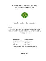 Đánh giá hiệu quả kinh tế sản xuất lúa thơm trên cánh đồng mẫu lớn  xã Tư Mại, huyện Yên Dũng, tỉnh Bắc Giang