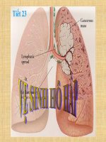 sinh học 8 Bai 22 vệ sinh hô hấp   liên môn giáo án