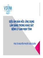Siêu âm đàn hồi trong chẩn đoán bệnh gan mạn tính