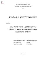 Giải pháp tăng lợi nhuận tại công ty trách nhiệm hữu hạn xây dựng Hải Âu.PDF