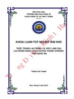 Thực trạng lao động và việc làm của lao động nông thôn huyện Thanh Chương, tỉnh Nghệ An