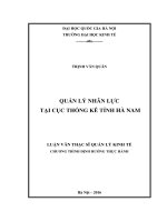 Quản lý nhân lực tại Cục Thống kê Tỉnh Hà Nam