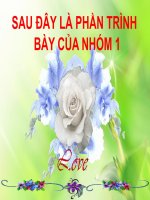 VĂN ôn tập  ngữ văn lớp 11