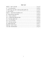 SKKN giải bài toán bằng phuong phap quy doi 
