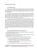 BÁO CÁO VI SINH QUÁ TRÌNH LÊN MEN RƯỢU VÀ ỨNG DỤNG  CHẾ BIẾN RƯỢU VANG