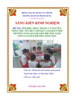 TÌM HIỂU THỰC TRẠNG và NGUYÊN NHÂN VIỆC tổ CHỨC GIỜ dạy làm QUEN môi TRƯỜNG XUNG QUANH CHO TRẺ mẫu GIÁO lớn 5 6 TUỔI ở TRƯỜNG mầm NON 