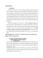 BÁO CÁO VI SINH VI KHUẨN ACETOBACTER XYLINUM TRONG QUÁ TRÌNH SẢN XUẤT  THẠCH DỪA