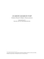 Bộ câu hỏi ôn tập kinh tế học vĩ mô của Mankiw - Đại học kinh tế UEH