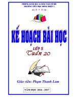 giáo án lớp 5 Tuần 20 (VNEN trên nền SGK hiện hành)