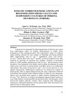 DE TAI 2  TAI SINH PHOI TU LA THONG QUA NUOI CAY HUYEN PHU