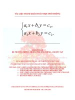 Trung đoàn HOA PHƯỢNG ĐỎ HỆ PHƯƠNG TRÌNH BẬC NHẤT CHỨA THAM SỐ THCS