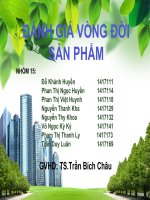 14KMT-NHOM15-ĐÁNH GIÁ VONG ĐỜI SẢN PHẨM