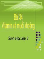 Bài giảng sinh học 8 vitamin và muối khoáng thao giảng (9) 