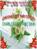 Bài giảng sinh học 8 vitamin và muối khoáng thao giảng (1) 