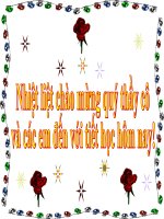 Bài giảng sinh học 8 vitamin và muối khoáng thao giảng (7) 