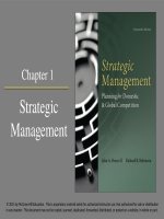Strategic management planing for domestic and global competition 14th john robinson chapter 1 