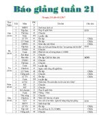 Tuần 21 lớp 3 năm 2016 2017( buổi) 