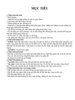 giao an chu de tet va mua xuan 3 tuoi