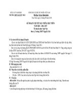 Kê Hoạch Chi Tiết Dạy Thêm, Học Thêm Môn Ngữ Văn