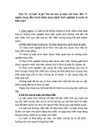 Cau 13 (ly luan, vai tro, y nghia)