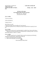 Đề văn chuyên sp năm 2013