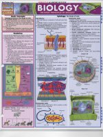 Quick study academic biology 1 600dpi